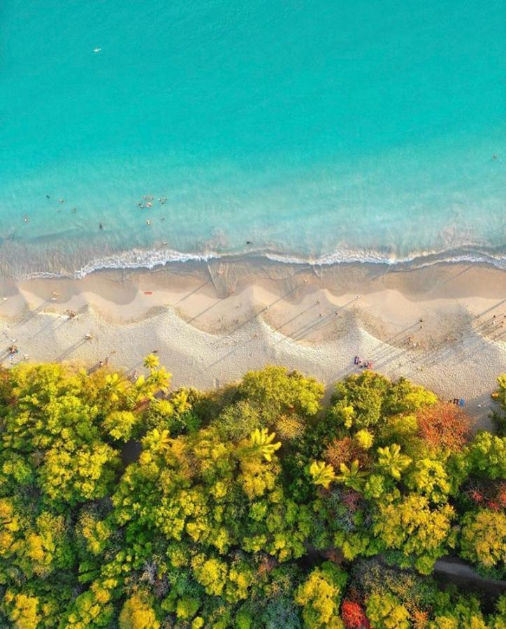 Somptueux Duplex Sur La Route Des Plages Sainte-Anne Eksteriør bilde